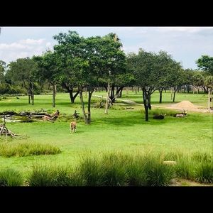 Meet your Posher, Sheena